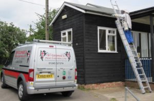 St Georges Pest Control Southend-pest-control-southend